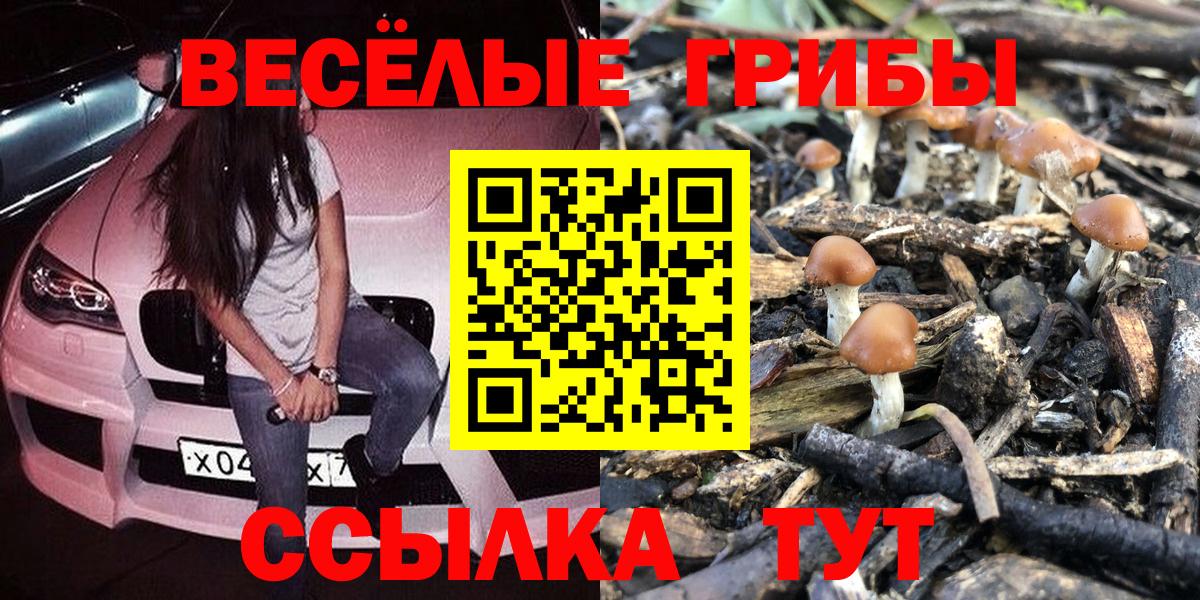 Галлюциногенные грибы мицелий  Вход с VPN  наркошоп  Будённовск 