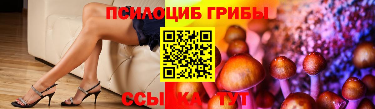 Псилоцибиновые грибы мицелий Будённовск