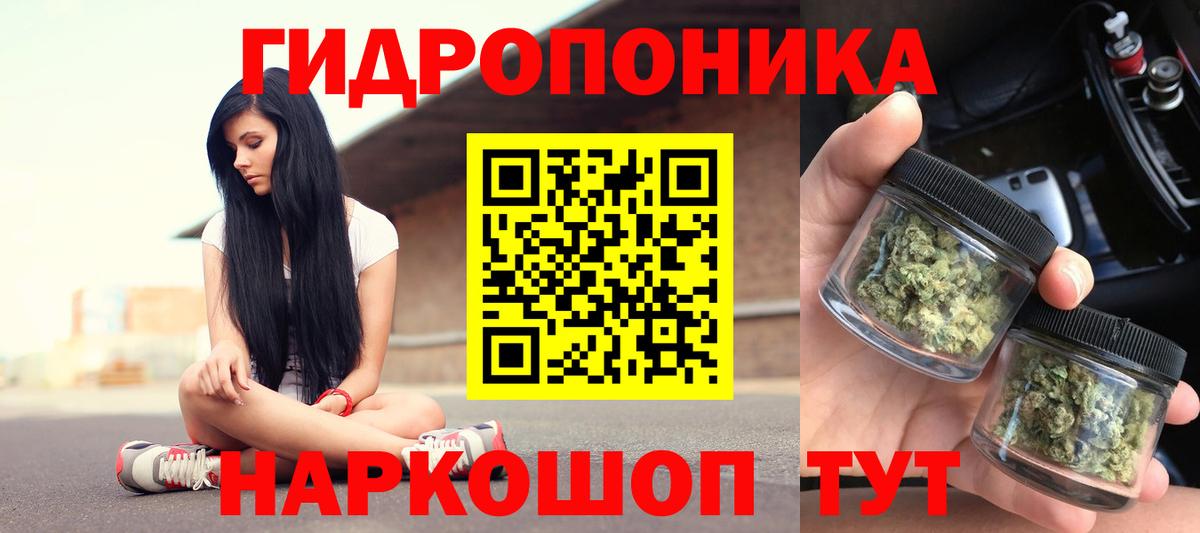 Конопля AK-47  Вход с VPN  Шишки марихуана сатива  Будённовск 